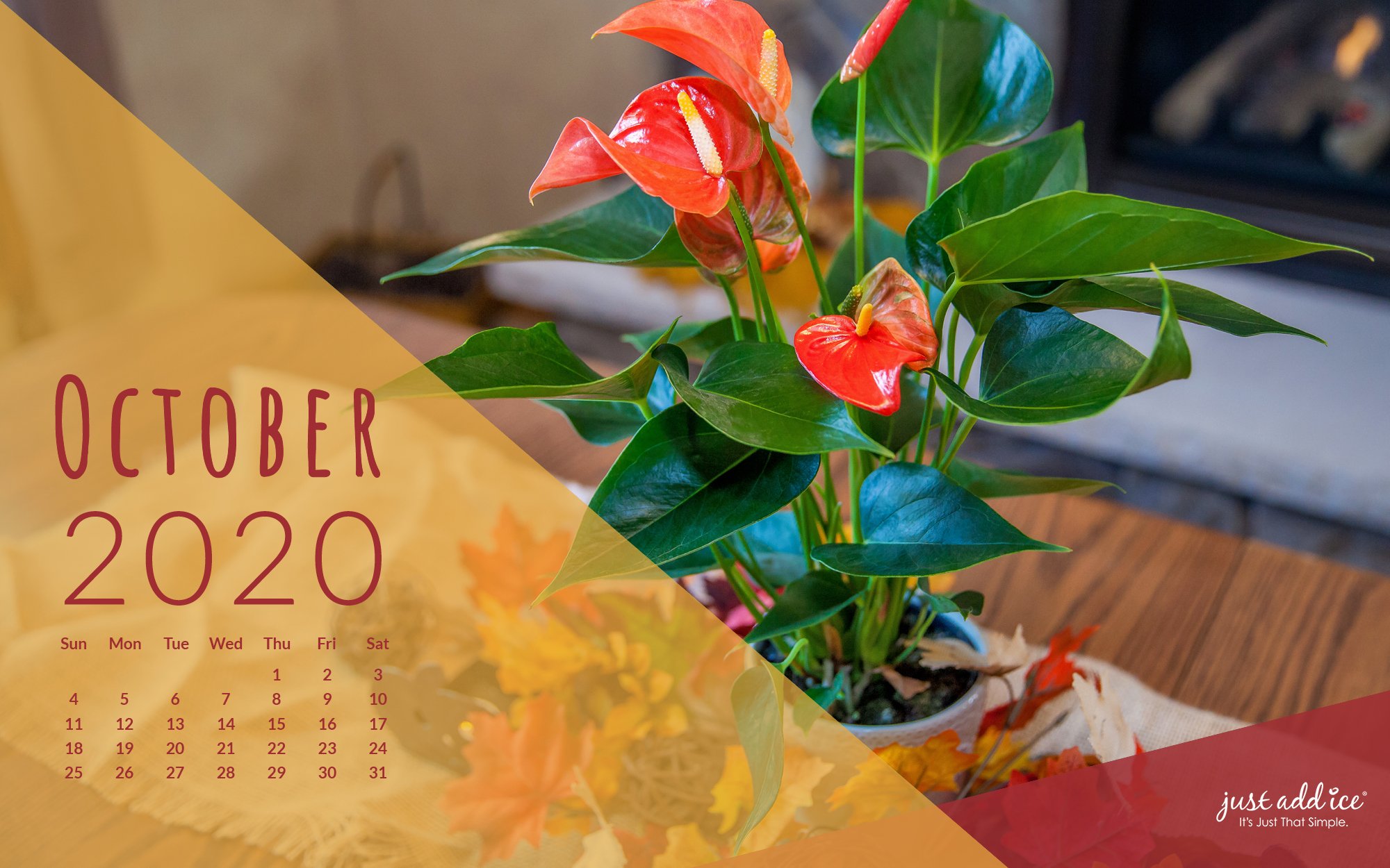 Free Desktop Watering Calendars